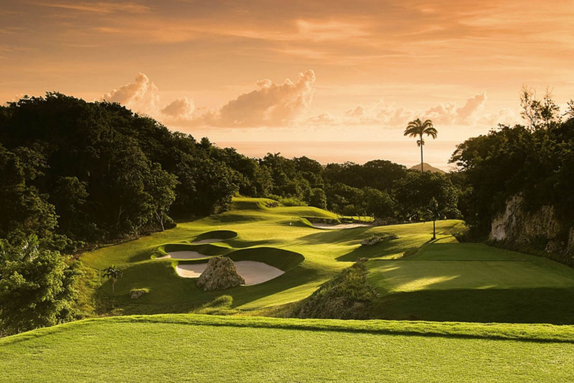 http://the%20tree%20house%20apes%20hill%20St%20James%20Barbados%20golf%20course