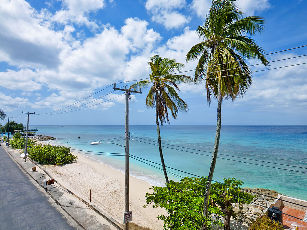 Sandy View