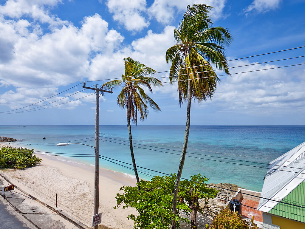 Sandy View