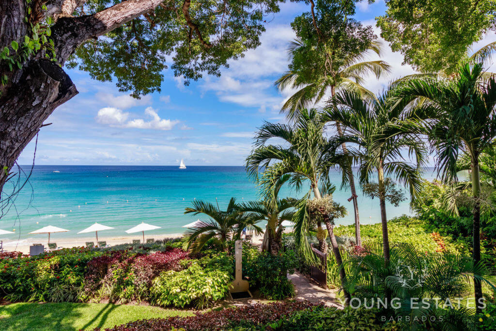 Shutters at Coral Cove
