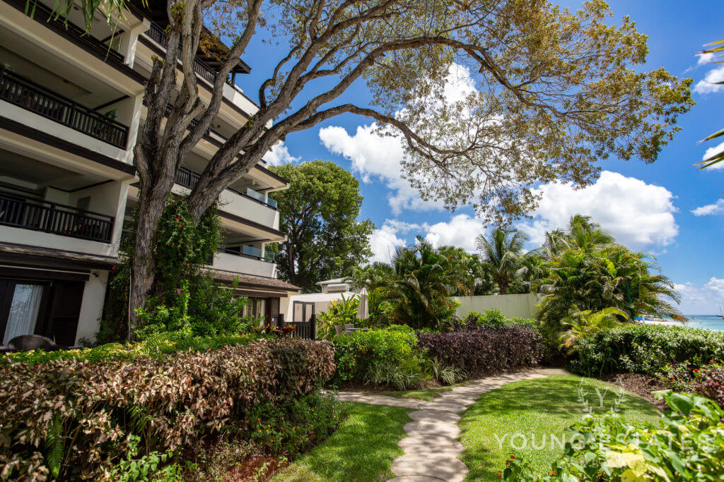 Crowsnest at Coral Cove