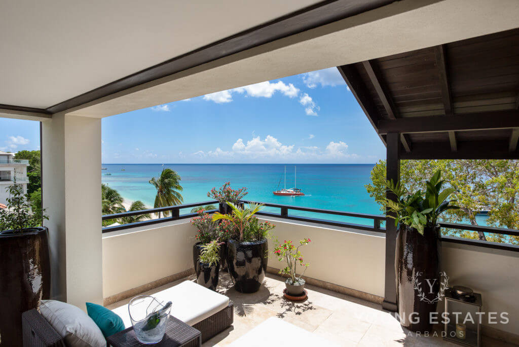Crowsnest at Coral Cove