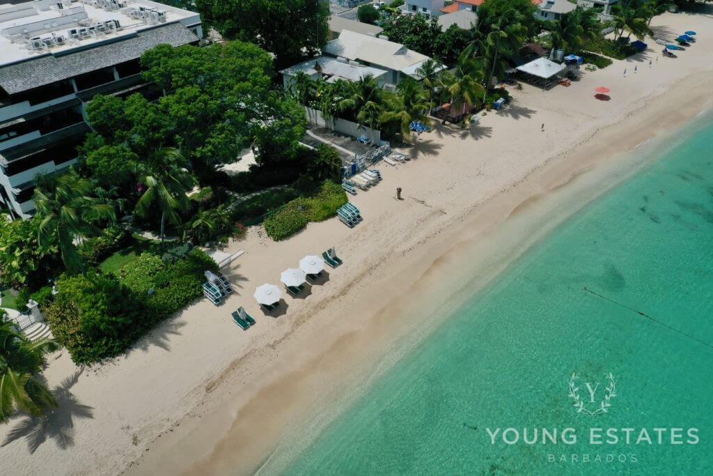 Crowsnest at Coral Cove