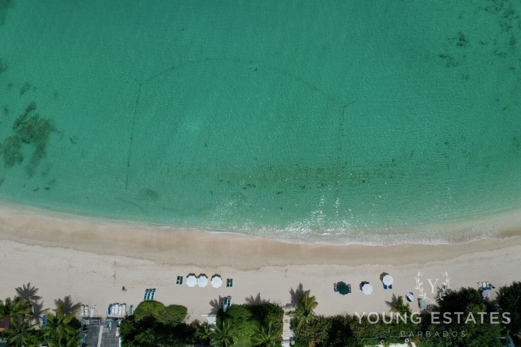 Crowsnest at Coral Cove