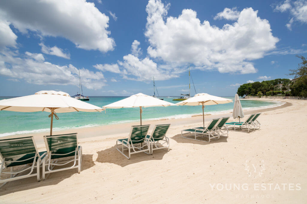Crowsnest at Coral Cove