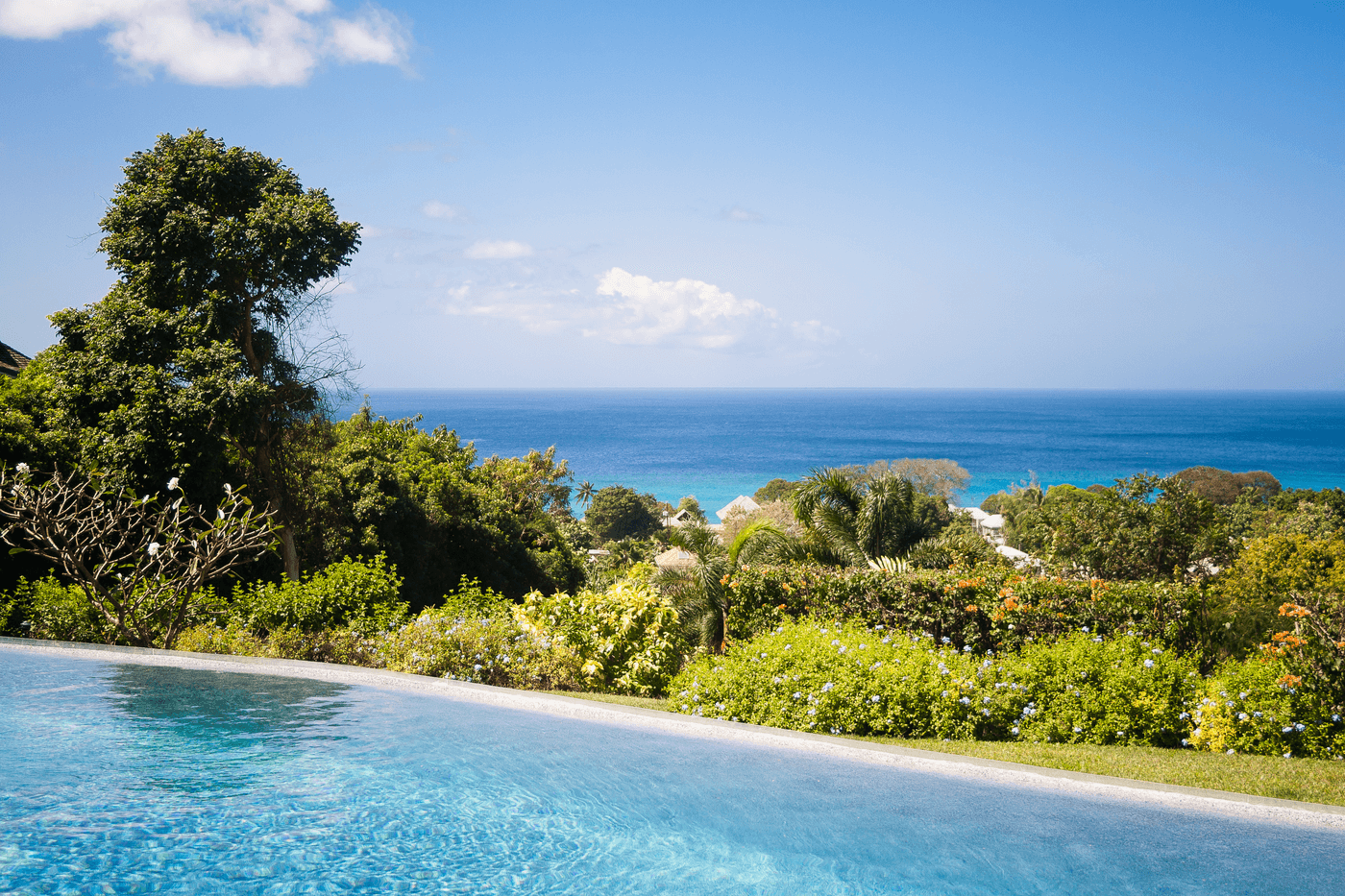 Monkey Hill at Sugar Hill sea view from pool