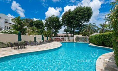 Protected: Coco, Mullins Bay